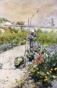 Carl Larsson IN Kokstradgarden painting